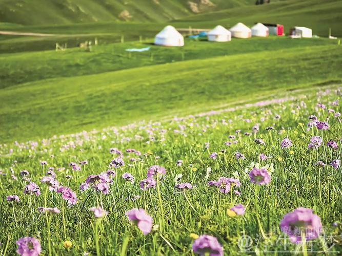 年轻教练充满活力,新疆之花绚丽绽放